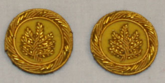 Mexican War Officer's Boards gold 2nd Lt